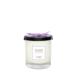 ACAJOU + LAVENDER - Luxury Scented Candle